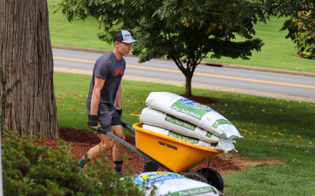 Campus Work Day