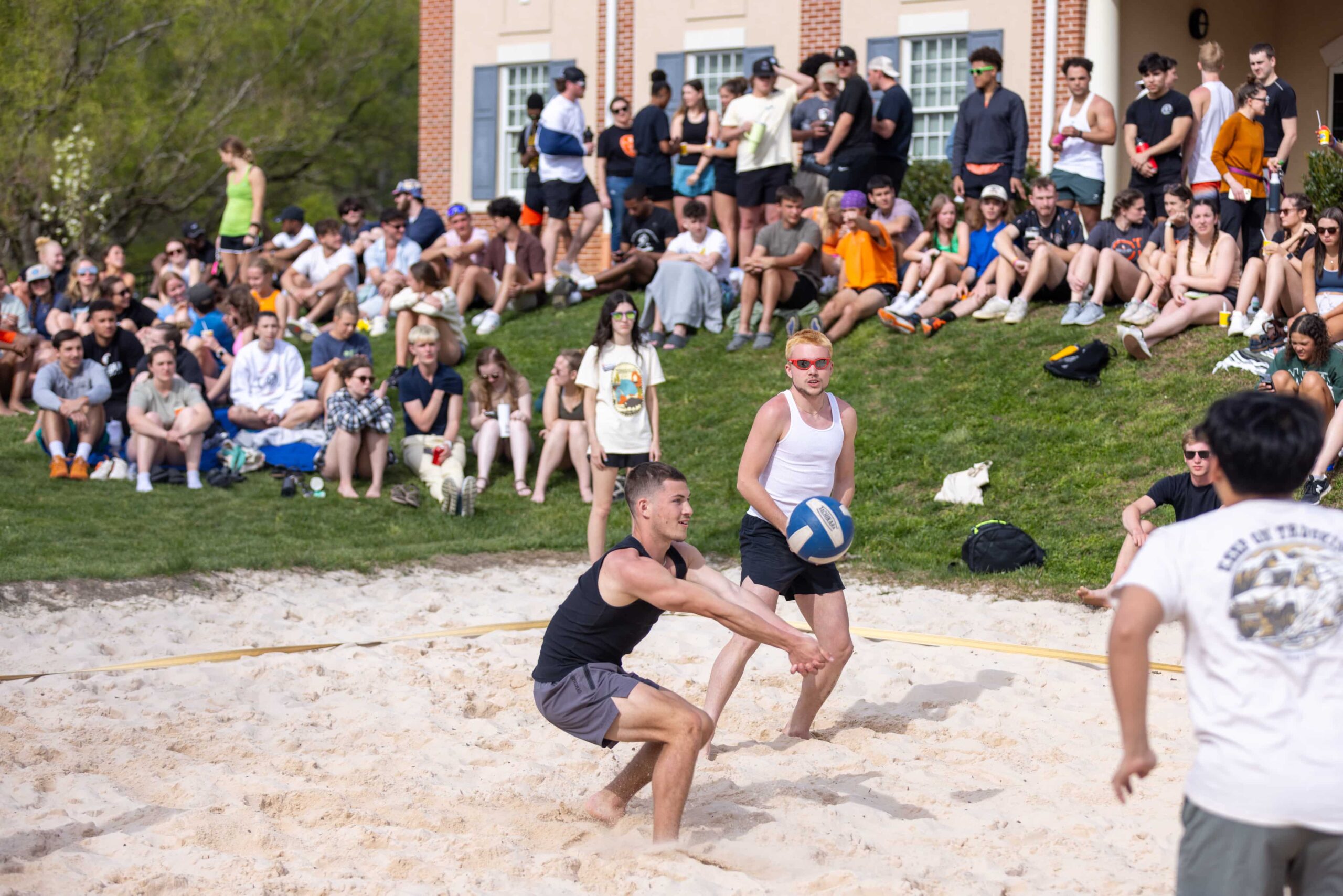 WW-sand VB@0.5x