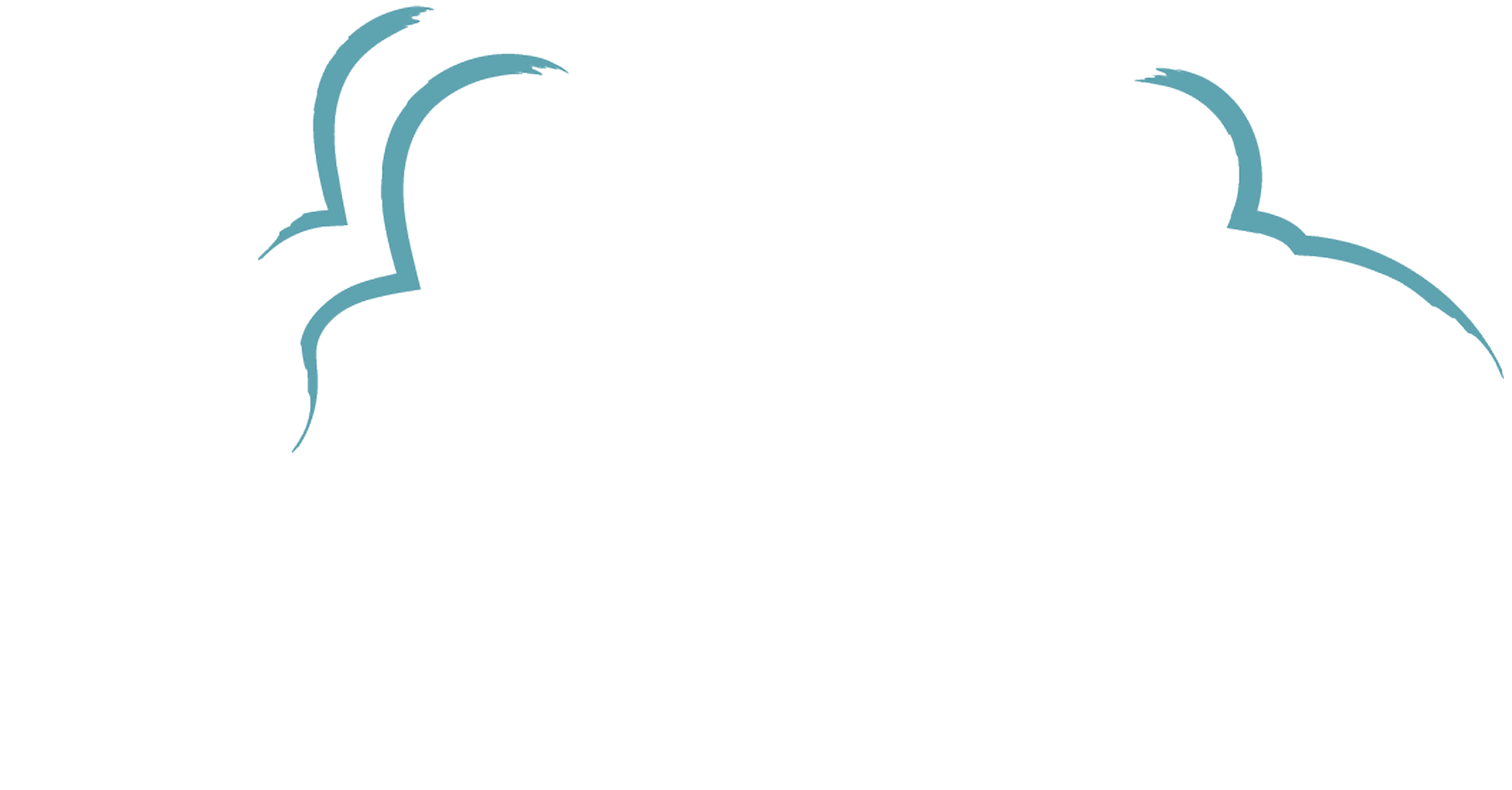 anim-lines