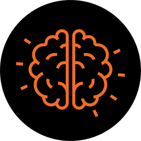 brain